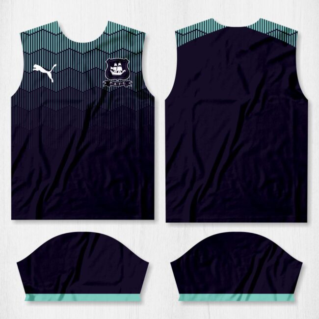 camisa plymouth argyle